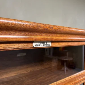 Globe Wernicke Bookcase sealed with Sanding Sealer