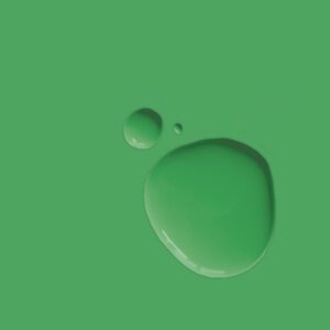 Annie Sloan Chalk Paint - RHS Capability Green Swatch