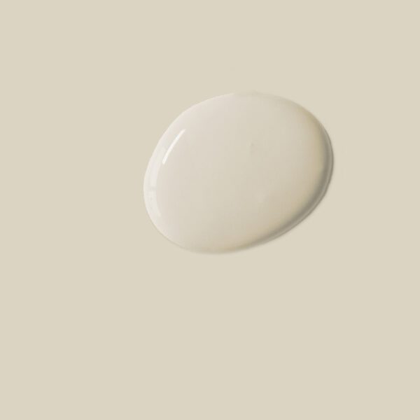 Canvas Chalk Paint Swatch